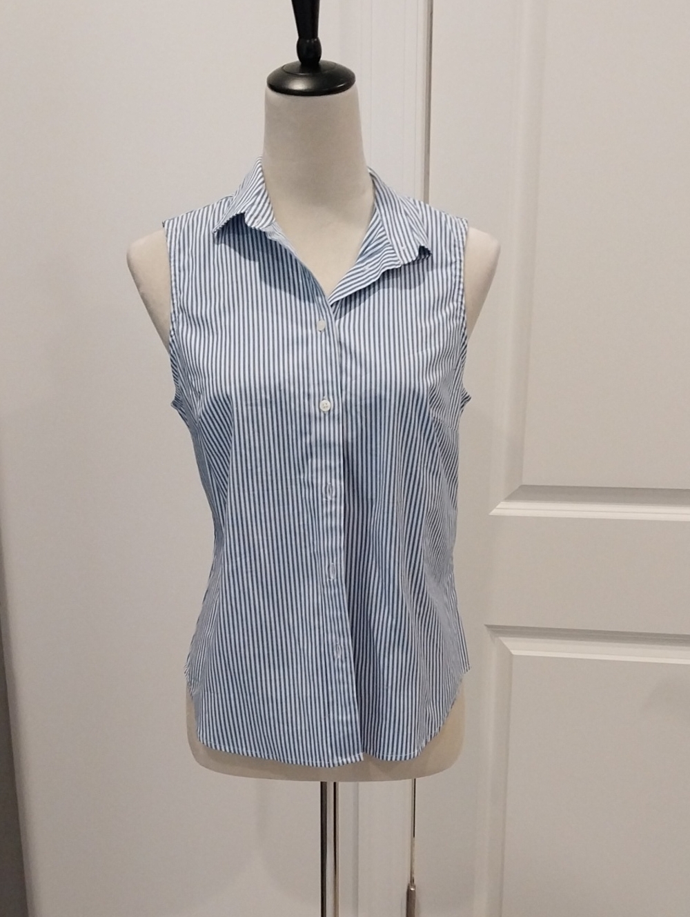 J. Crew Sleeveless Blue and White Striped Button-Down Shirt